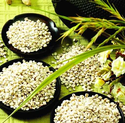 薏仁绿茶 薏仁绿茶
