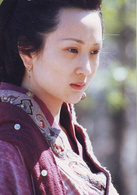 秦始皇(2001年张丰毅主演电视剧)