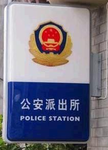 政府派出机构 政府派出机构