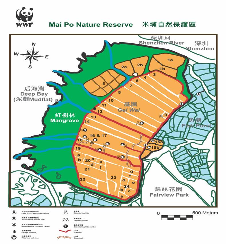 米埔位于香港的西北部 米埔位于香港的西北部