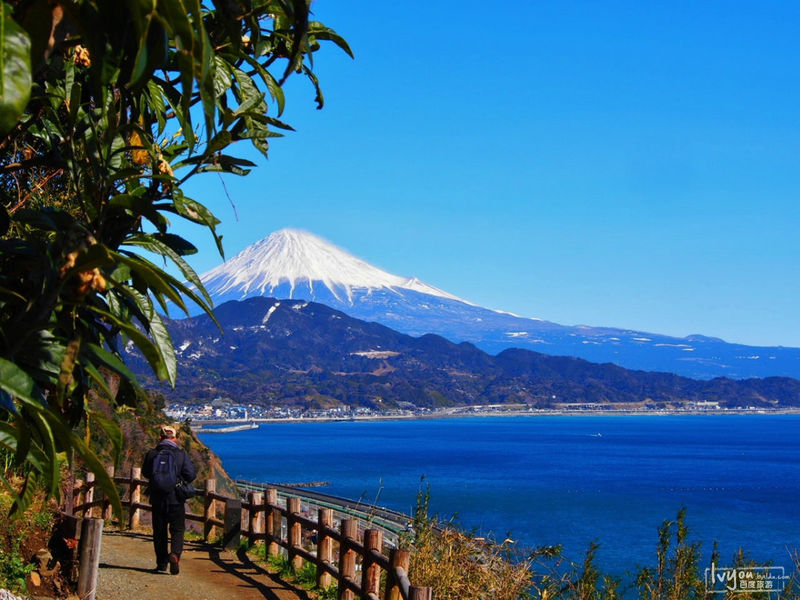 清水市 清水市