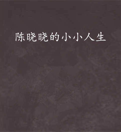 陈晓晓的小小人生