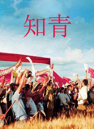 周钦霖