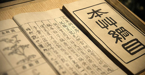 《本草纲目》食物养生速查全书 《本草纲目》食物养生速查全书