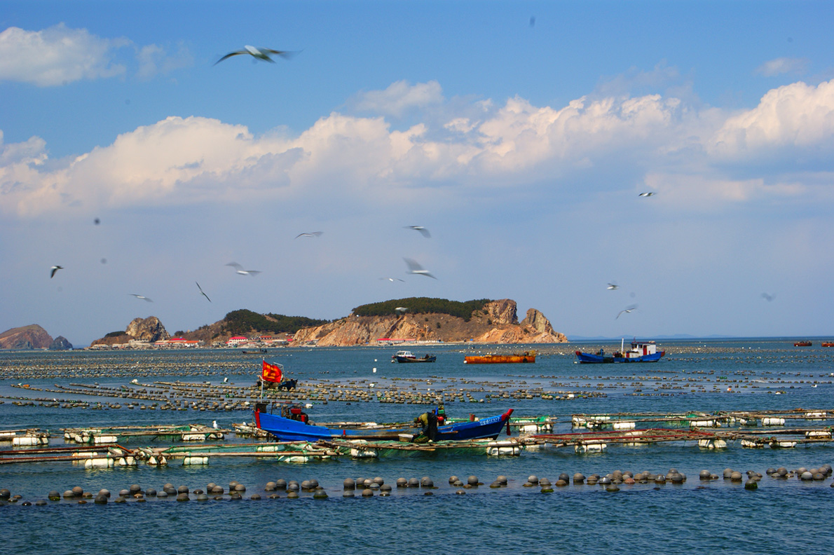 小岛村 小岛村
