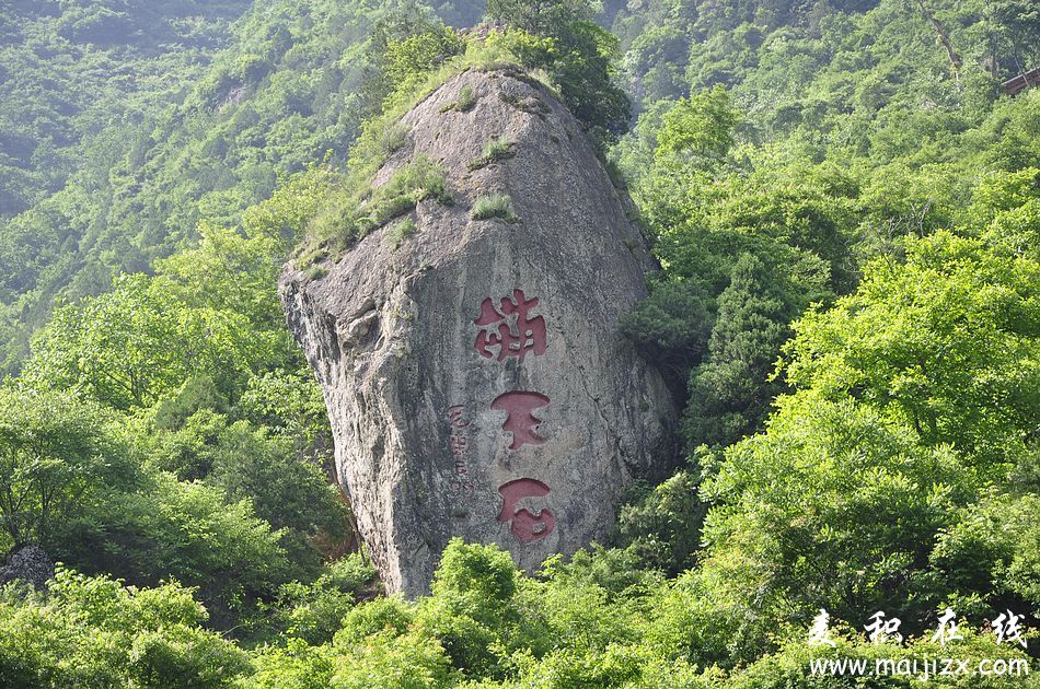 清水(词语)