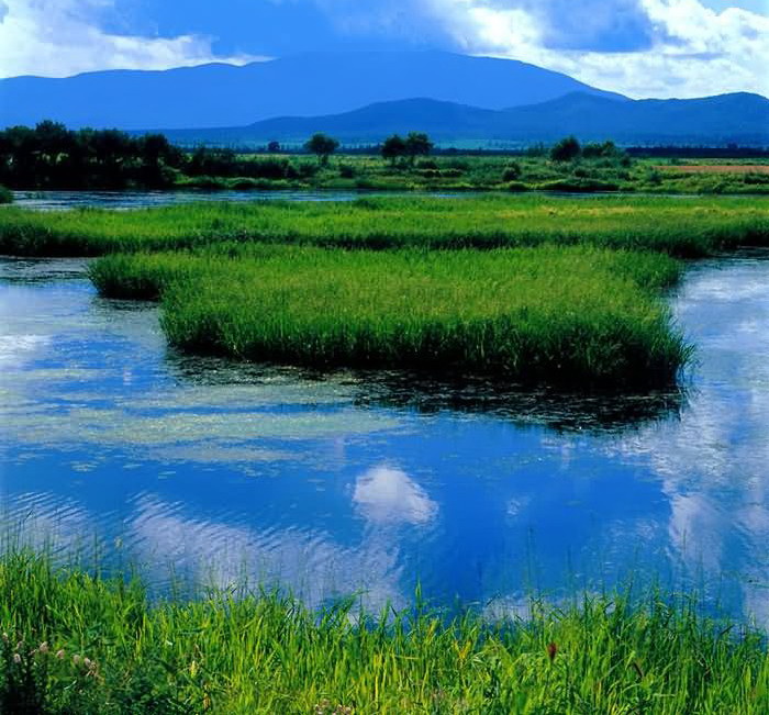 三江湿地 三江湿地