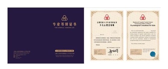 儿童心理谘询治疗师 儿童心理谘询治疗师