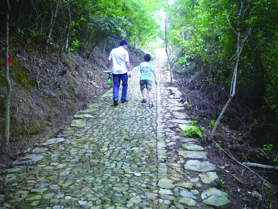 东溪岭 东溪岭
