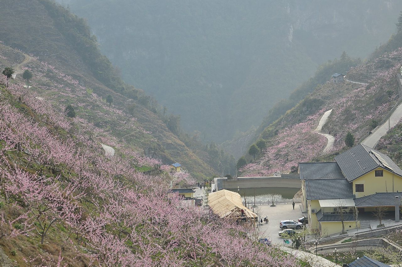 桃花寨 桃花寨