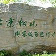 北京松山国家级自然保护区 北京松山国家级自然保护区