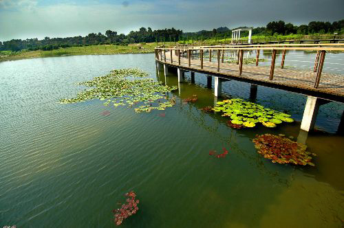 西沙湿地公园 西沙湿地公园