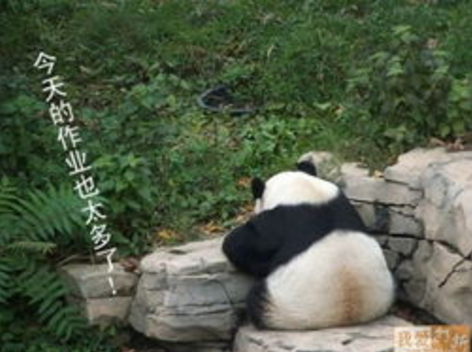 剑桥少儿英语教师用书 剑桥少儿英语教师用书