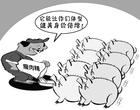 健美猪 健美猪