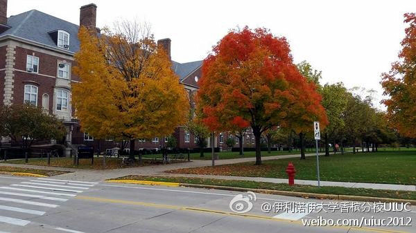 伊利诺伊大学厄巴纳―香槟分校 伊利诺伊大学厄巴纳―香槟分校