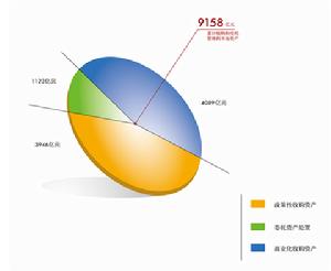 政策性银行贷款 政策性银行贷款