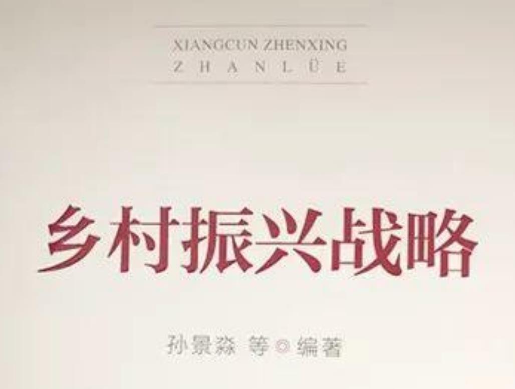 乡村振兴战略(书籍)