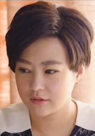 头号前妻(2015年刘家成执导电视剧)