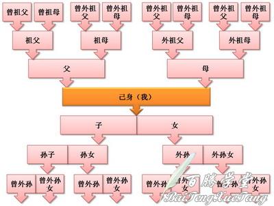 血缘关係 血缘关係