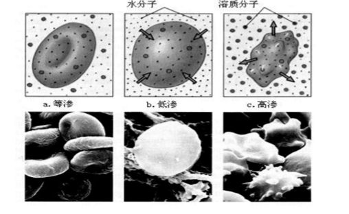 依数性 依数性
