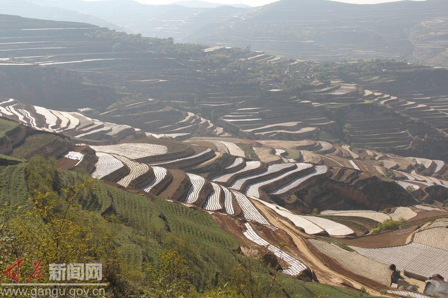 大庄乡(云南省开远市大庄乡) 大庄乡(云南省开远市大庄乡)
