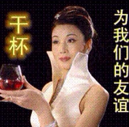 塑胶花姐妹情 塑胶花姐妹情