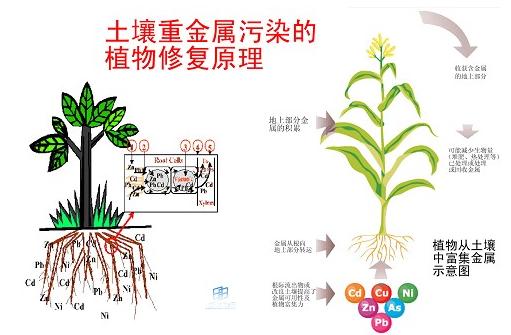 主要技术原理 主要技术原理