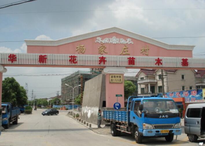 杨家庄村(山东省即墨市普东镇杨家庄村) 杨家庄村(山东省即墨市普东镇杨家庄村)