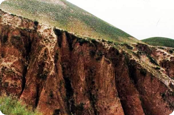 绵土 绵土