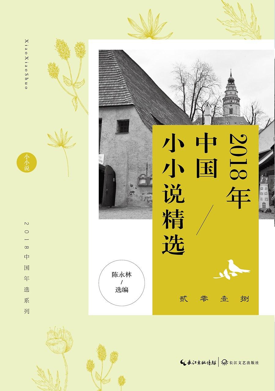 2018年中国小小说精选 2018年中国小小说精选