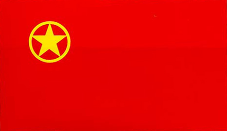 中国共产主义青年团章程 中国共产主义青年团章程