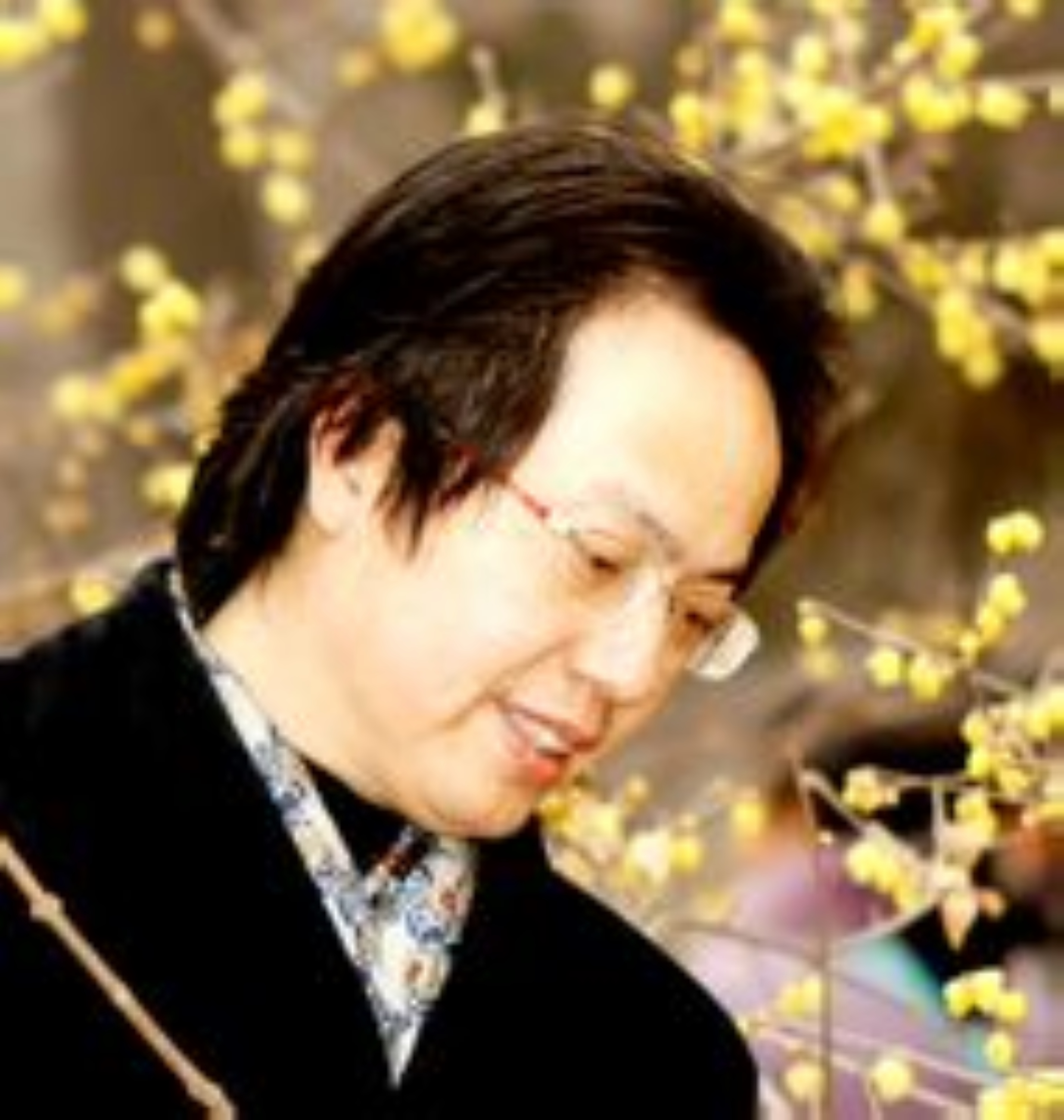 杨锁强 杨锁强