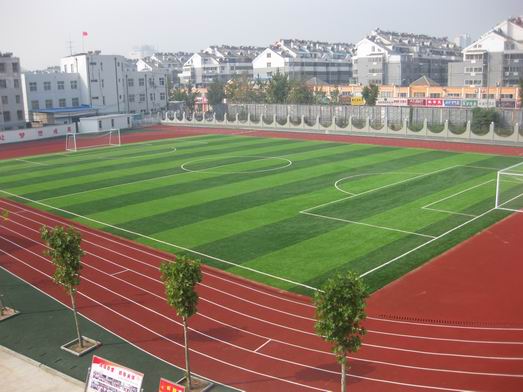 滕州市滕东中学 滕州市滕东中学