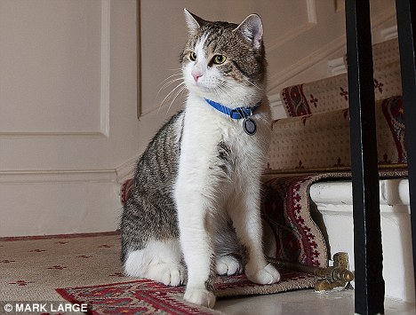 御猫拉里 御猫拉里