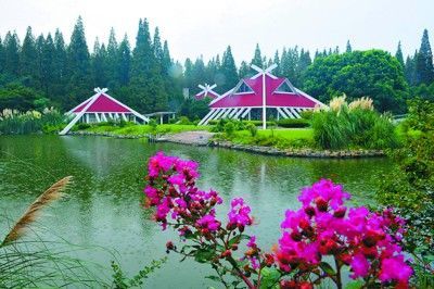崇明岛东平森林公园 崇明岛东平森林公园