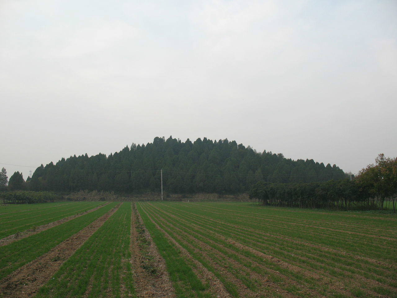 泰陵封土 泰陵封土