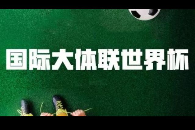 国际大体联足球世界盃 国际大体联足球世界盃