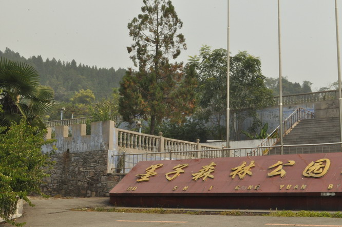 墨子森林公园 墨子森林公园