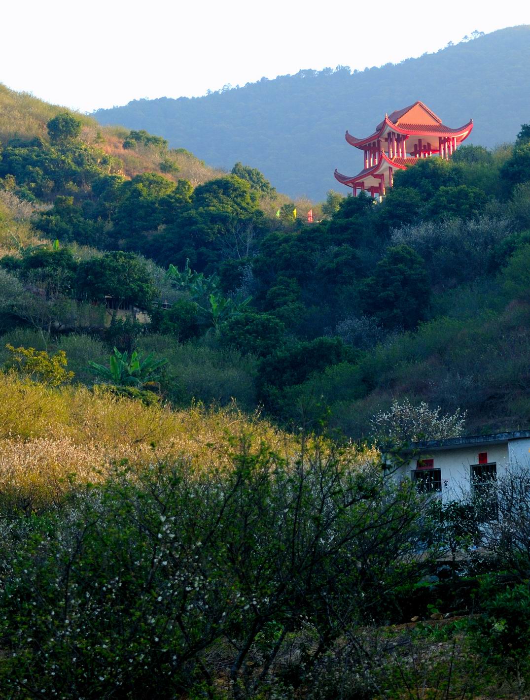 红星乡(福建省漳州市诏安县红星乡) 红星乡(福建省漳州市诏安县红星乡)