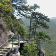 黄茅尖景区 黄茅尖景区