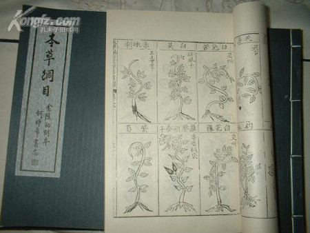 《本草纲目》金陵初刻本 《本草纲目》金陵初刻本