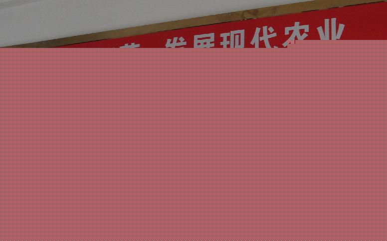 相关图片 相关图片