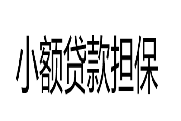 小额贷款担保 小额贷款担保