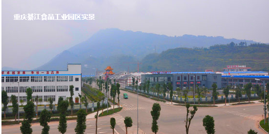 綦江区工业园区 綦江区工业园区