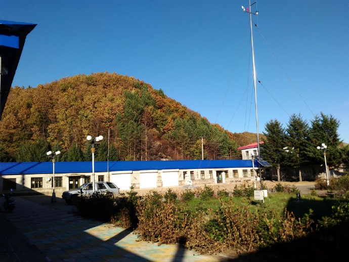 亮子河林场(黑龙江省伊春市南岔区下属林场) 亮子河林场(黑龙江省伊春市南岔区下属林场)