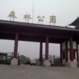 马鞍山森林公园(武汉马鞍山森林公园) 马鞍山森林公园(武汉马鞍山森林公园)