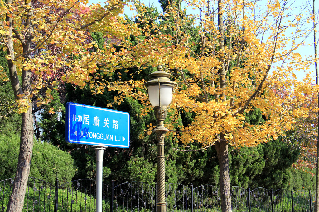 八大关风景 八大关风景