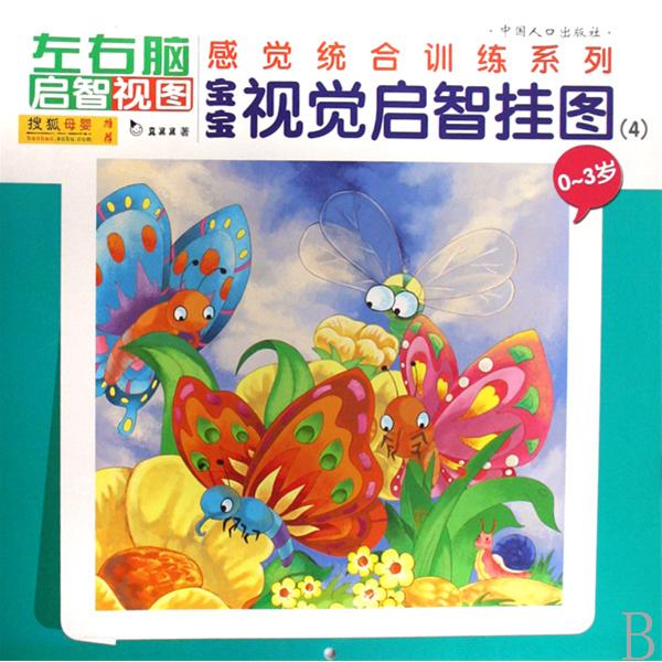 左右脑启智视图感觉统合训练系列 左右脑启智视图感觉统合训练系列