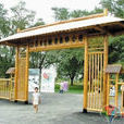 泰兴市古银杏森林公园 泰兴市古银杏森林公园