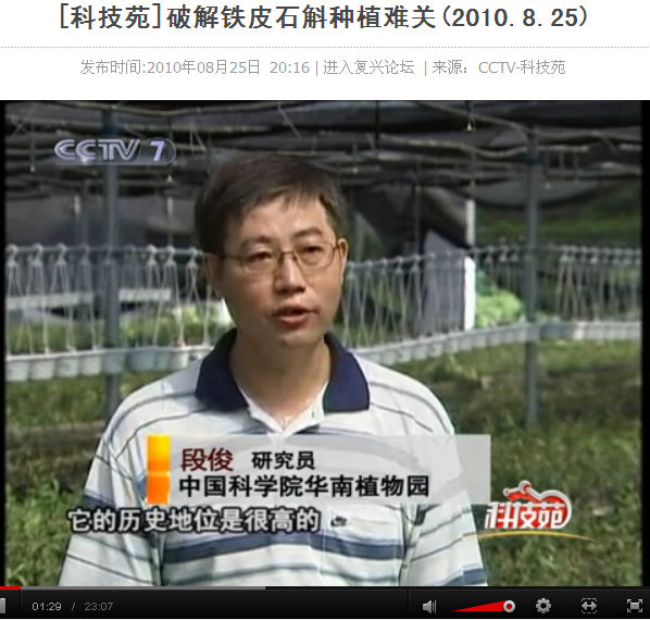 破解铁皮石斛种植难关